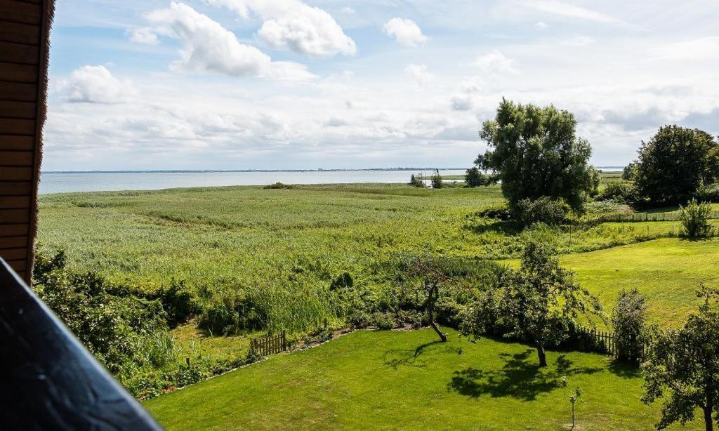 Appartamento Haus Am Bodden 03 Ahrenshoop Esterno foto